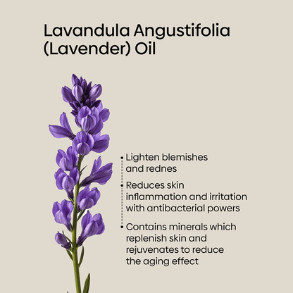 Triple Fighting Protection